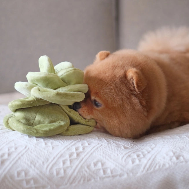 snuffelspeelgoed hond intelligentiespel