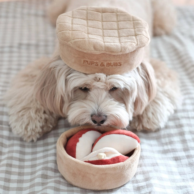 snuffelspeelgoed hond intelligentiespel